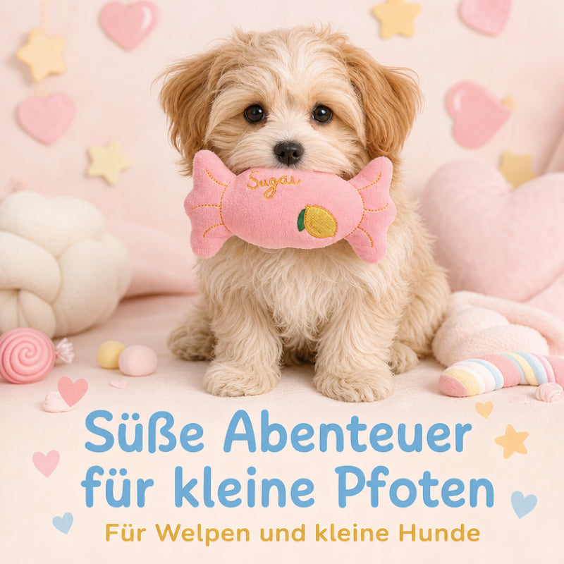 Hund Kuscheltiere DT002-12-13