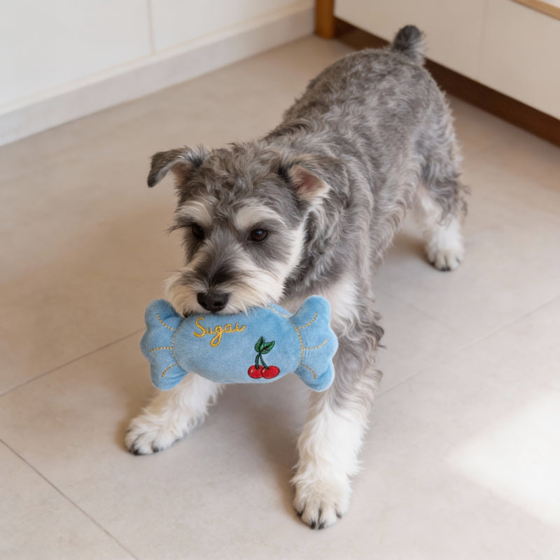 Hund Kuscheltiere, Plüsch Bonbon für kleine Hunde, Hundespielzeug Quietschen in Zwei Farben (1 Stück)