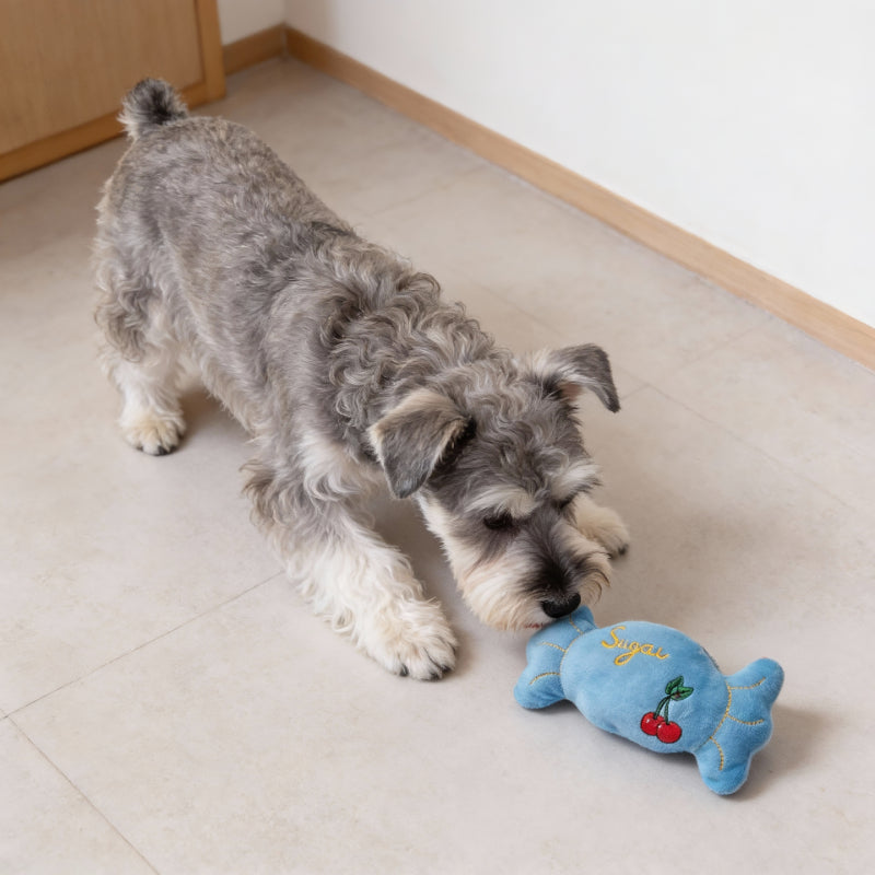 Hund Kuscheltiere, Plüsch Bonbon für kleine Hunde, Hundespielzeug Quietschen in Zwei Farben (1 Stück)