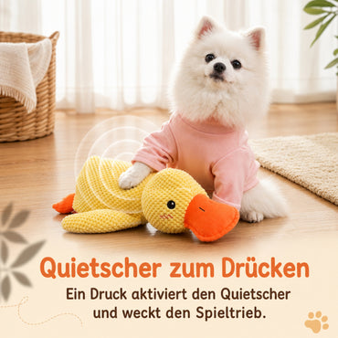 Kuscheltier Hund DT003-02-12
