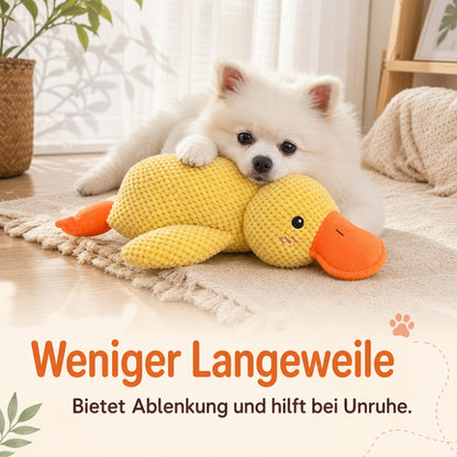 Kuscheltier Hund DT003-02-14