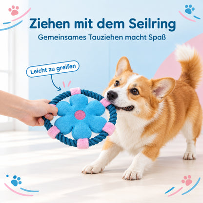 Hundespielzeug DT003-04-8