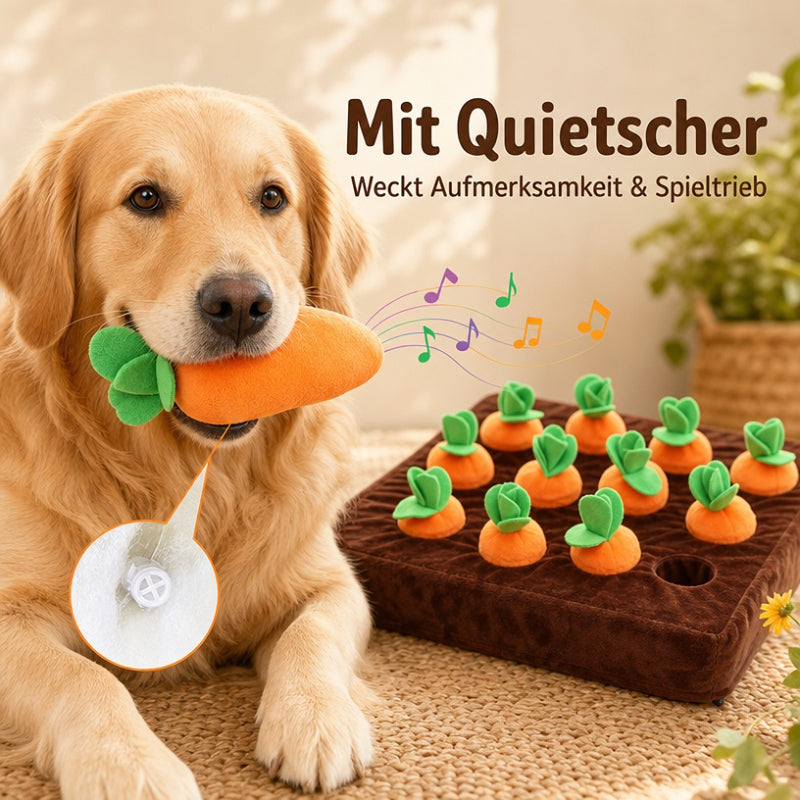 Hundespielzeug Intelligenz DT003-07-10