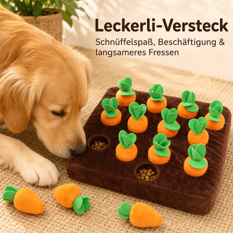 Hundespielzeug Intelligenz DT003-07-12