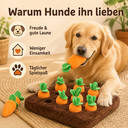 Hundespielzeug Intelligenz DT003-07-14