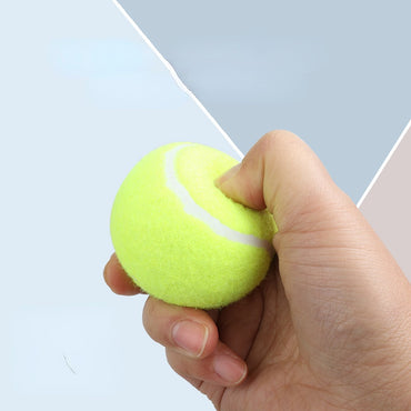 Hundespielzeug Ball, interaktiver grüne Hüpfball aus Gummi, für das Training, 6,5 cm großer Ball, 3er-Pack