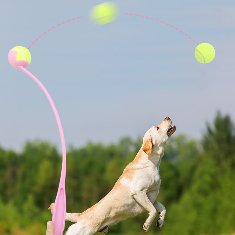 Hundespielzeug Wurfspielzeug, Interaktives Ballwerfer mit Schleuder, Apportier-Trainingsspielzeug für draußen (1 Stück)