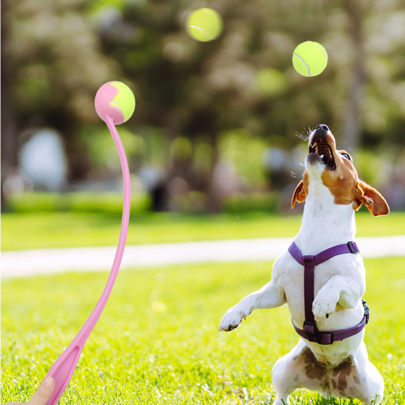 Hundespielzeug Wurfspielzeug, Interaktives Ballwerfer mit Schleuder, Apportier-Trainingsspielzeug für draußen (1 Stück)