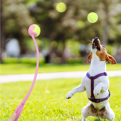 Hundespielzeug Wurfspielzeug, Interaktives Ballwerfer mit Schleuder, Apportier-Trainingsspielzeug für draußen (1 Stück)