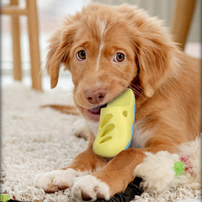 Hund Spielzeug, Lustiges Hausschuhe-Kauspielzeug für Hunde in Gelb & Blau, Zahnreinigung, Wasserspielzeug Hund (2 Stücke)