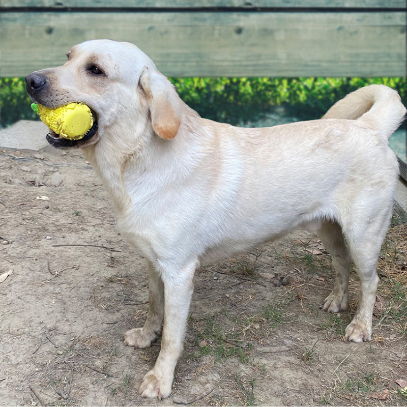 Hund Spielzeug, Gelber Ananas Kauartikel für Hunde, Verstecktes Lebensmitteldesign, Ideal zum Spielen und Füttern (2 Stücke)
