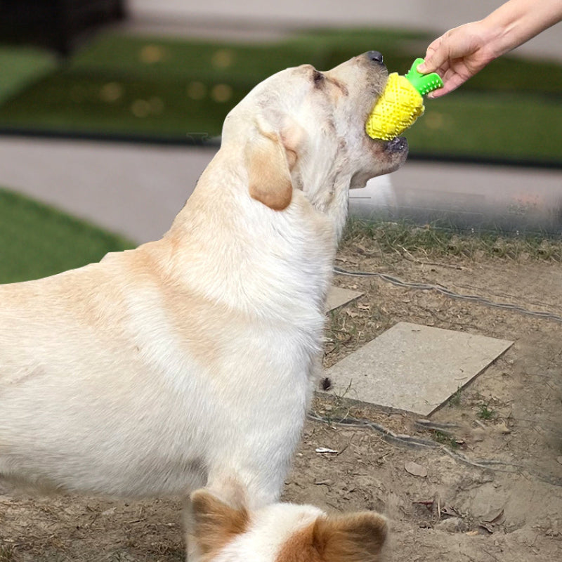 Hund Spielzeug, Gelber Ananas Kauartikel für Hunde, Verstecktes Lebensmitteldesign, Ideal zum Spielen und Füttern (2 Stücke)