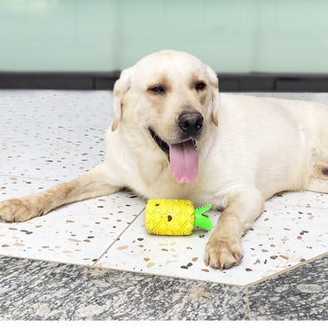 Hund Spielzeug, Gelber Ananas Kauartikel für Hunde, Verstecktes Lebensmitteldesign, Ideal zum Spielen und Füttern (2 Stücke)