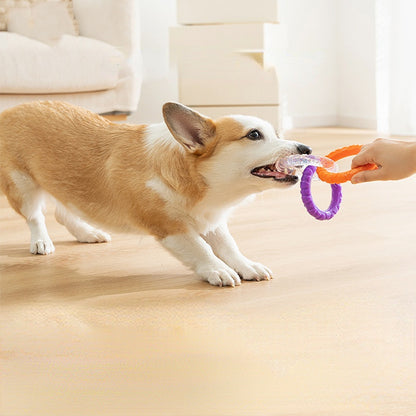 Zerrspielzeug Hund für interaktive Spiele, Drei Kreise verbunden zur Förderung der Zahnhygiene Stärkung