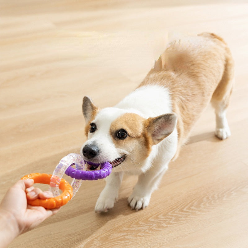 Zerrspielzeug Hund für interaktive Spiele, Drei Kreise verbunden zur Förderung der Zahnhygiene Stärkung