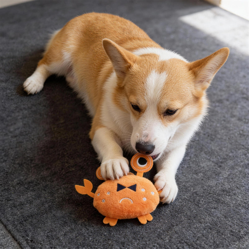 Plüschtier für Hunde, Realistisches Krabbe Kuscheltier mit Geräuschfunktion, Weiches Hundespielzeug für Kleine Hunde