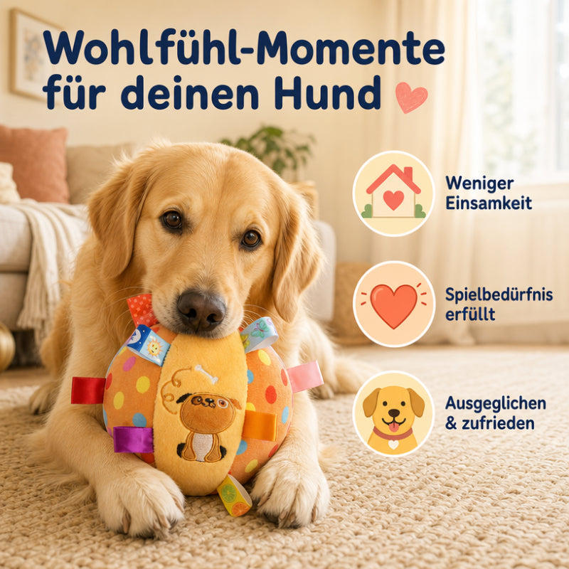 Ball für Hunde DT009-02-8