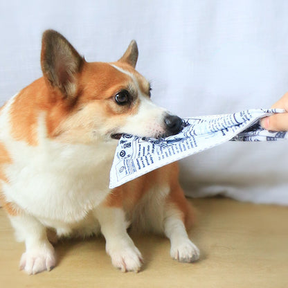 Quietschspielzeug Hund, Realistisches Zeitungsspielzeug, Einzigartiges Design Geeignet für die Interaktion mit Welpen