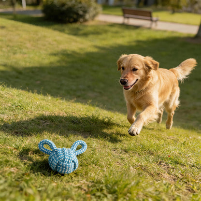 Hundespielzeug ball, interaktives Hundespielzeug in Bärenform, aus Baumwollseil, Bissfest Unterhaltung