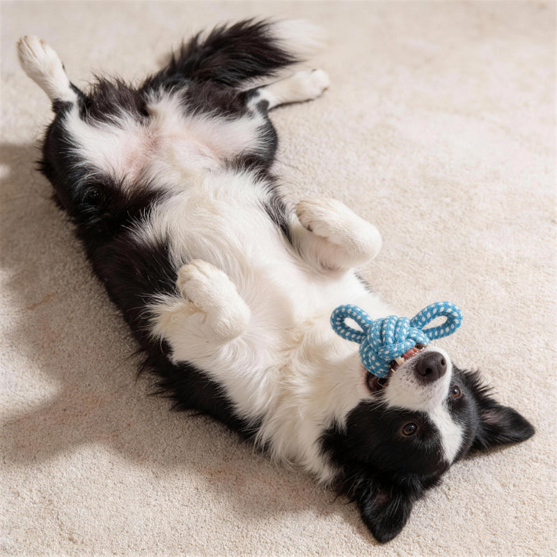 Hundespielzeug ball, interaktives Hundespielzeug in Bärenform, aus Baumwollseil, Bissfest Unterhaltung