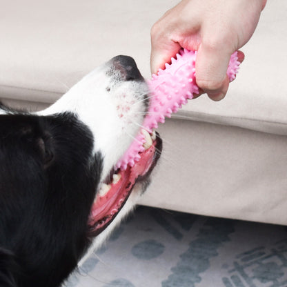 Hund Zahnpflege Spielzeug, Dental-Kaustäbchen, Interaktives Spielzeug in Knochenform mit Fütterungsöffnung
