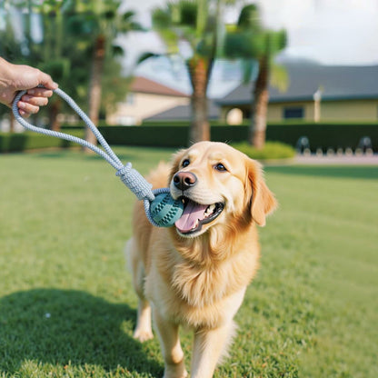 Hund ball mit Seil, Gummi ball für Hunde, Mehrere Farben, Kauspielzeug für Spaß Hand-Pull-Ball-Interaktion