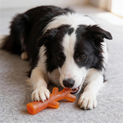 Hundespielzeug unkaputtbar für Groß und Klein, Spielzeug aus umweltfreundlichem Gummi, lustiges Kauspielzeug in Astform (1 Stück)