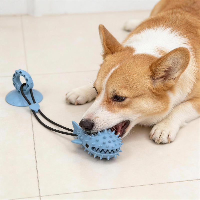 Hundespielzeug Zahnpflege, mit Saugnapf, Interaktives Hundespielzeug für Zahngesundheit, Stressabbau und Beschäftigung (1 Stück)