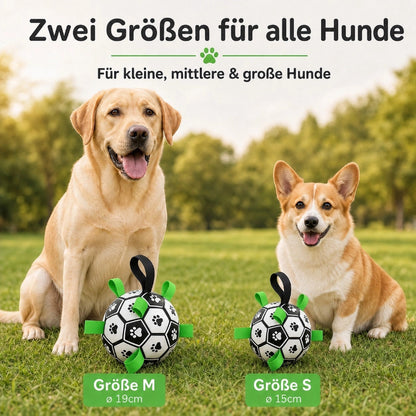 Hundeball DT018-01-10