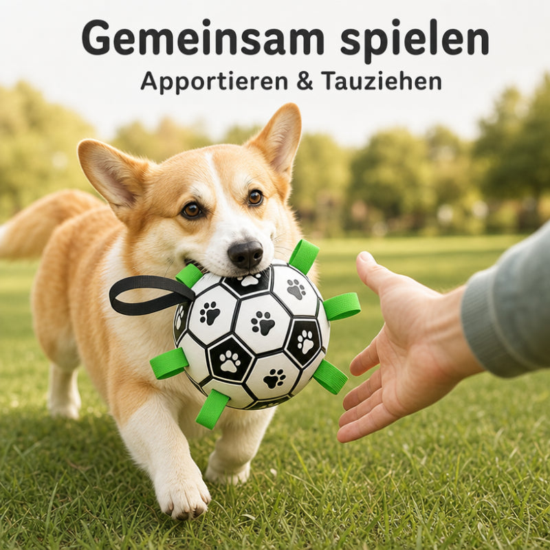 Hundeball DT018-01-11