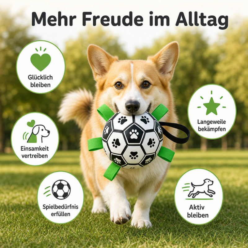 Hundeball DT018-01-13