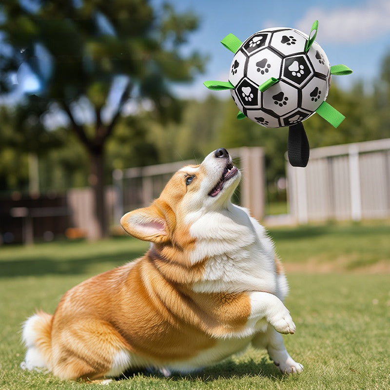 Fußball für Hunde,Interaktiver Hundespielzeugball, grüner Nylon-Kauseil-Fußball, umweltfreundlich Spielen geeignet