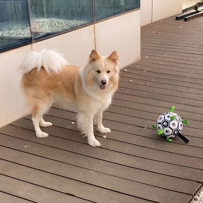 Fußball für Hunde,Interaktiver Hundespielzeugball, grüner Nylon-Kauseil-Fußball, umweltfreundlich Spielen geeignet