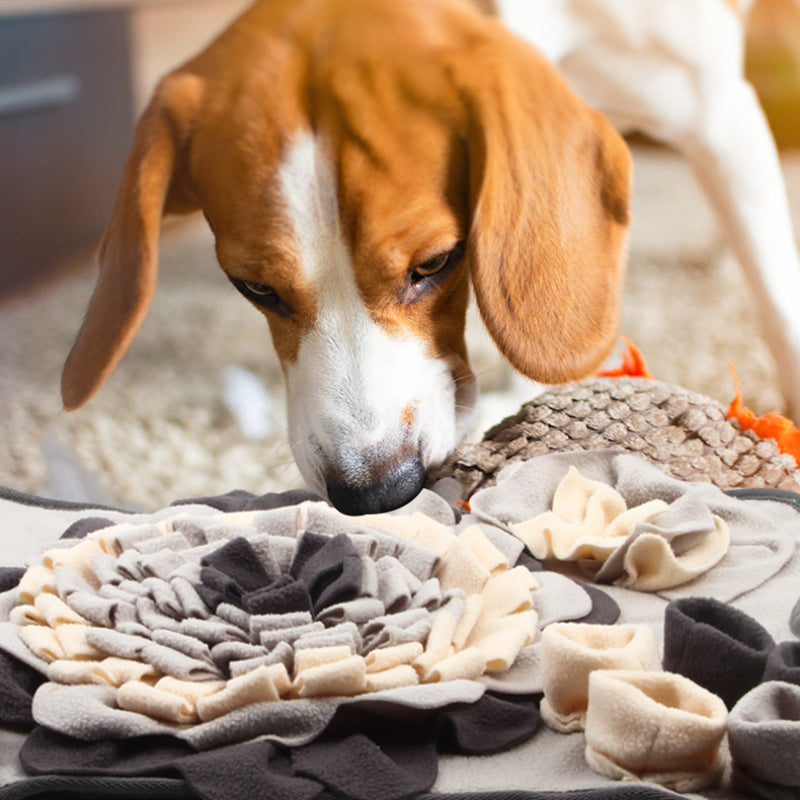 Hunde Spielzeug, Schnüffeldecke für Hunde,Knochenform kann Nahrung verbergen zur Förderung körperlichen Aktivität
