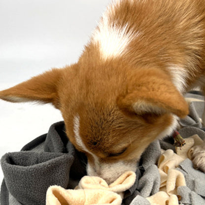 Hunde Intelligenzspielzeug, Hunde-Schnüffelteppich, Langsame Futterspielzeuge Zwei Stile für geistige Anregung