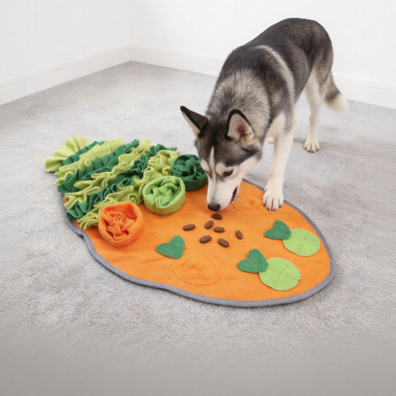 Intelligenzspielzeug Hund, Karotte Schnüffelmatte, Slow Food Decke Spielzeug für Hunde, Vandalismus reduzieren