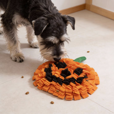 Hunde Intelligenzspielzeug, Kürbisform Schnüffelmatte Hund aus Polarfleece, Stressabbau und mentale Stimulation (1 Stück)