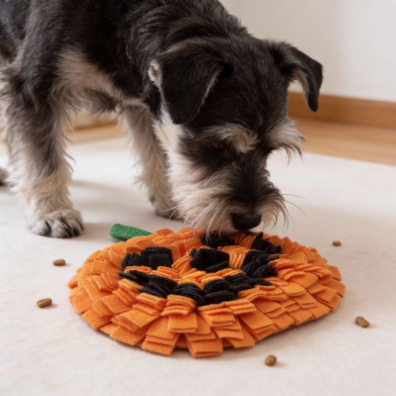 Hunde Intelligenzspielzeug, Kürbisform Schnüffelmatte Hund aus Polarfleece, Stressabbau und mentale Stimulation (1 Stück)