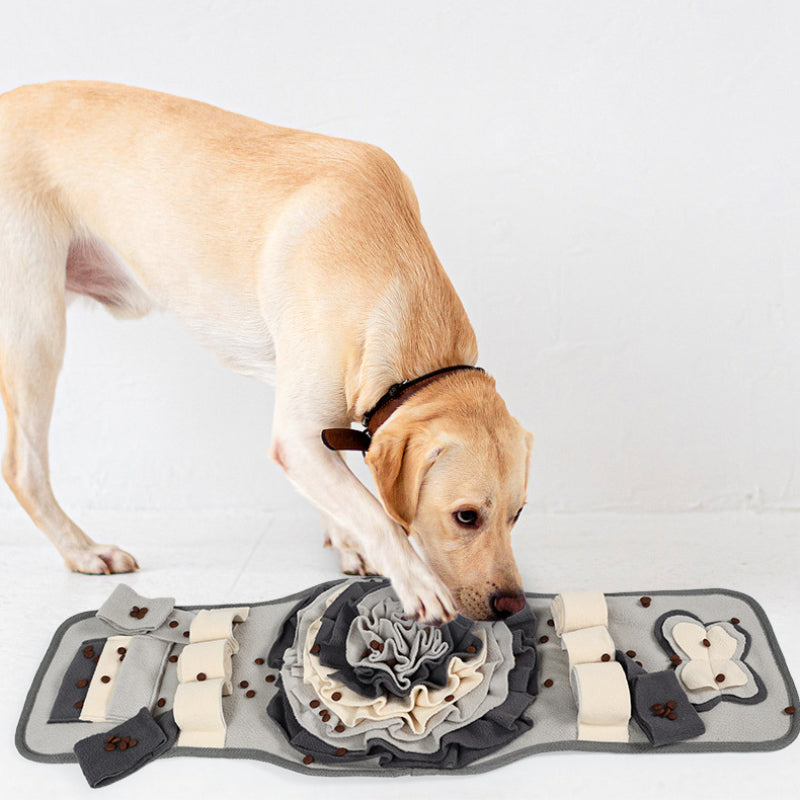 Hunde Intelligenzspielzeug, Schnüffelmatte Hund & Futterspielzeug, Intelligenz fördern, Rechteck, Zwei Farben (1 Stück)
