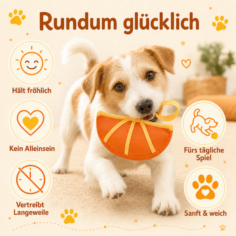 Spielzeug für den Hund DT023-08-10