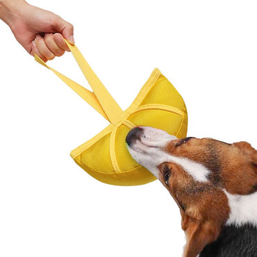 Spielzeug für den Hund, Mandarine Segmentform aus Oxford-Stoff, Kauspielzeug mit Handschlaufe, Zerrspielzeug Hund, Zwei Farben