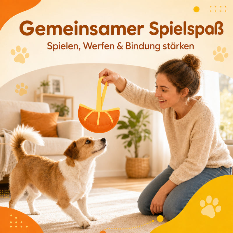 Spielzeug für den Hund DT023-08-11