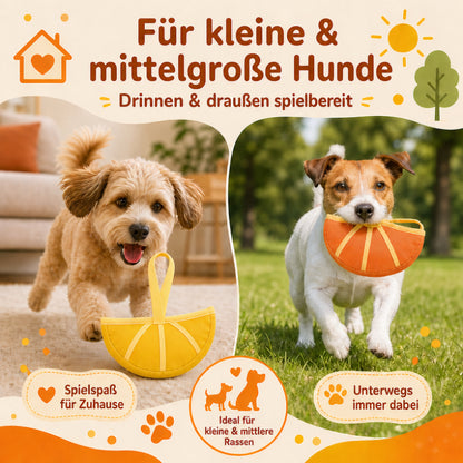 Spielzeug für den Hund DT023-08-7