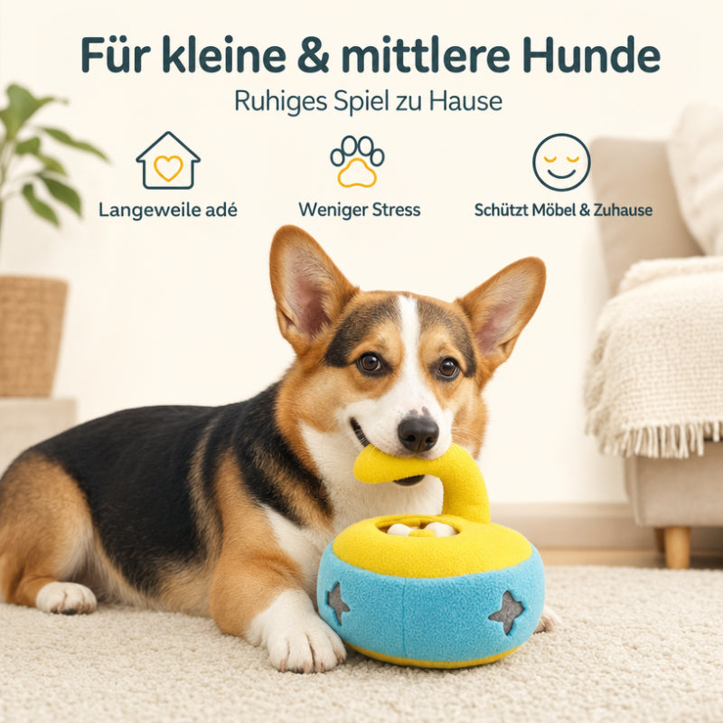 Hunde Intelligenzspielzeug DT023-11-10
