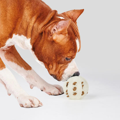 Hundespielzeug, TPR Hundeball Leuchtend für Wurfspiel, Intelligenzspielzeug Hund in Drei Größen