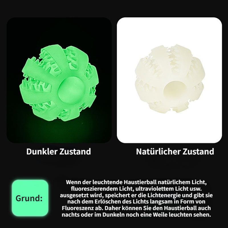 Hundespielzeug, TPR Hundeball Leuchtend für Wurfspiel, Intelligenzspielzeug Hund in Drei Größen