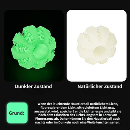Hundespielzeug, TPR Hundeball Leuchtend für Wurfspiel, Intelligenzspielzeug Hund in Drei Größen