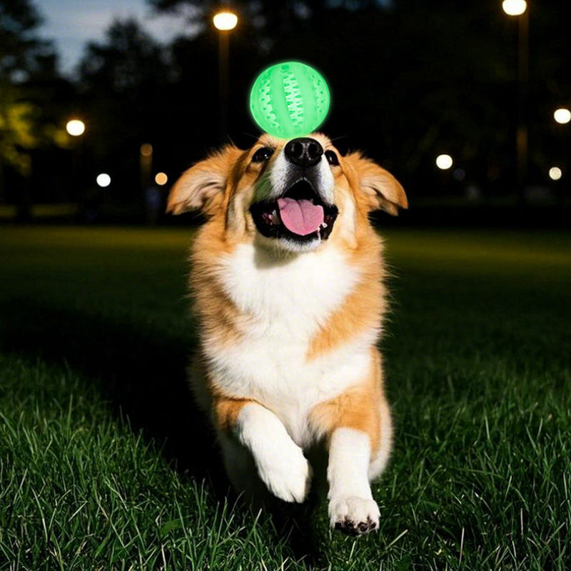 Hundespielzeug, TPR Hundeball Leuchtend für Wurfspiel, Intelligenzspielzeug Hund in Drei Größen