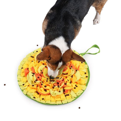 Schnüffelteppich Hund DT026-05-3