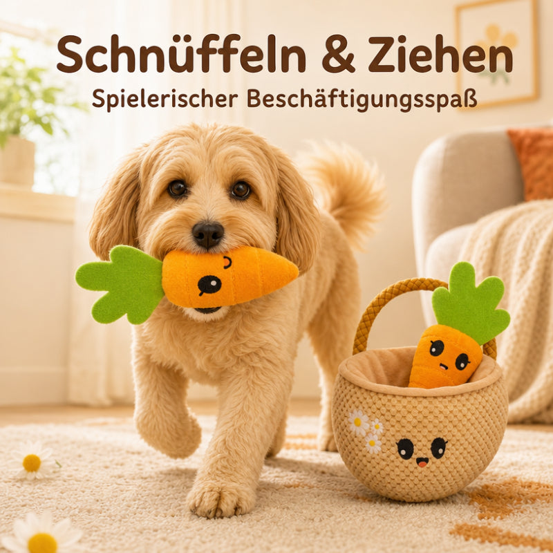 Hunde Intelligenzspielzeuge DT026-01-3